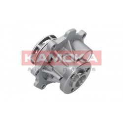 Vízszivattyú ALFA ROMEO 159 07-, CHEVROLET AVEO 08- 24405895