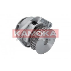 Vízszivattyú AUDI A2 00-05, SEAT ALTEA 06- 036121005E