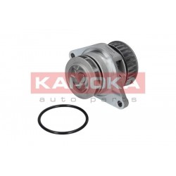 Vízszivattyú AUDI A2 02-05, TOLEDO 00-06 036121005F