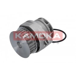 Vízszivattyú AUDI A2 02-05, TOLEDO 00-06 036121005F