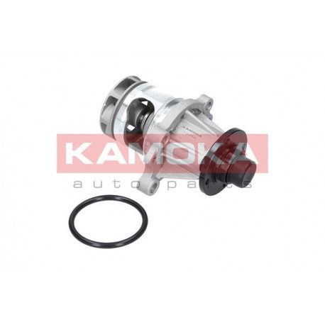 Vízszivattyú BMW 3 (E30/E36/E46) 89-, 5 (E34) 89- 11510393338