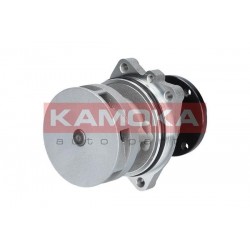 Vízszivattyú BMW 3 (E36) 95-00, 5 (E34/E39) 91- 11512243003