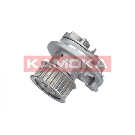 Vízszivattyú CHEVROLET CAPTIVA 06-, EPICA 05- 1334041