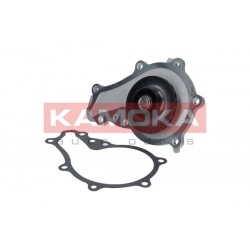 Vízszivattyú CITROEN C1 05-, C2 03- C3 02-, DS3 10- 1201F9