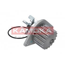 Vízszivattyú CITROEN C2 06-, C3 03-, C4 04-11 1201G2