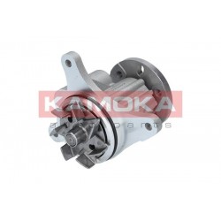 Vízszivattyú CITROEN C5 III 08-, PEUGEOT 407 05- 1201G6