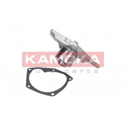 Vízszivattyú NISSAN ALMERA 03-, MICRA (K12) 03- 7701475995