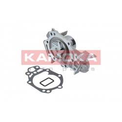 Vízszivattyú RENAULT CLIO II/III/IV 01-, KANGOO 01- 8200266950