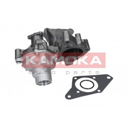 Vízszivattyú FIAT DUCATO 95-02 1317462080