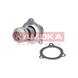 Vízszivattyú FORD FIESTA V 01-08, 1229571