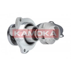 Vízszivattyú FORD FIESTA V 01-08, 1229571