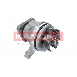 Vízszivattyú FORD FOCUS, C-MAX 04-, MONDEO 00- 1142427