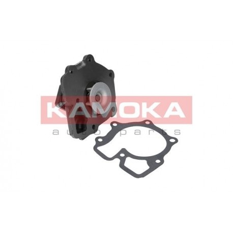 Vízszivattyú FORD TRANSIT 85-00, LDV CONVOY 98-09 5012773