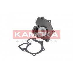 Vízszivattyú FORD TRANSIT 85-00, LDV CONVOY 98-09 5012773