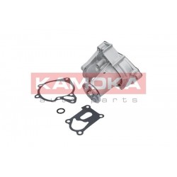 Vízszivattyú HYUNDAI TERRACAN 01-06, KIA 2500 03- MD972002