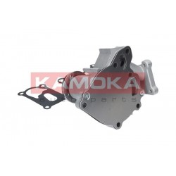 Vízszivattyú HYUNDAI TERRACAN 01-06, KIA 2500 03- MD972002