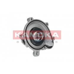 Vízszivattyú MERCEDES C (W203/W204) 02- 2712000201