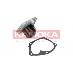 Vízszivattyú OPEL MOVANO 01-, RENAULT CLIO III 06- 7701472182