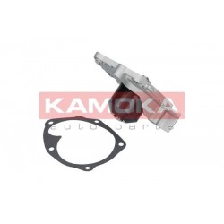 Vízszivattyú OPEL MOVANO 01-, RENAULT CLIO III 06- 7701472182