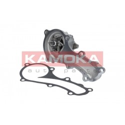 Vízszivattyú NISSAN ALMERA (N16) 00- 210109F605