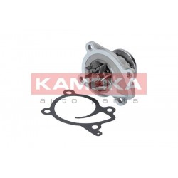 Vízszivattyú NISSAN CUBE 10-, 21010ED025