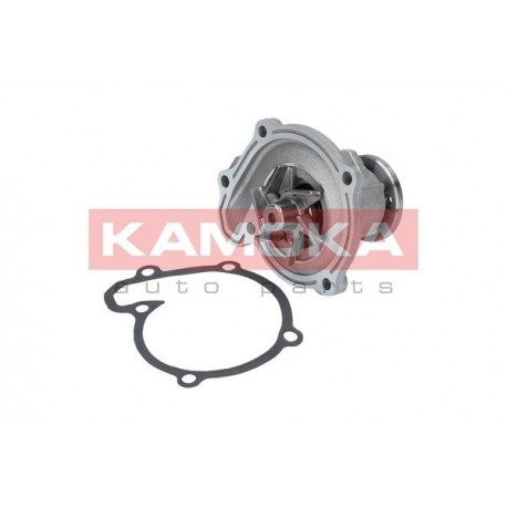 Vízszivattyú NISSAN MICRA (K12) 03-10, NOTE 06-12 21010BX000