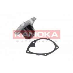 Vízszivattyú NISSAN PRIMERA (P12) 02- 21010AW300