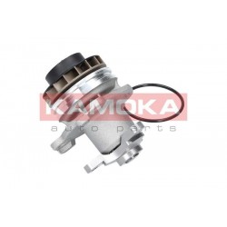 Vízszivattyú NISSAN QASHQAI 07-13, 2101000Q0C