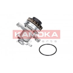 Vízszivattyú NISSAN QASHQAI 07-13, 2101000Q0C