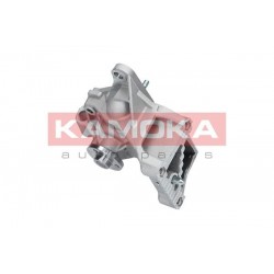 Vízszivattyú OPEL MOVANO, RENAULT MASTER 98- 4501294