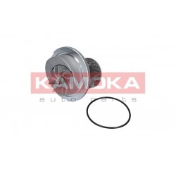 Vízszivattyú OPEL ASTRA G 98-05, COMBO 01- 1334078