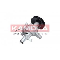 Vízszivattyú CHEVROLET AVEO 08-, SPARK 10- 96416294