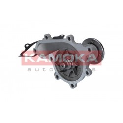 Vízszivattyú NISSAN NAVARA 05-, PATHFINDER 05- 21010EB300