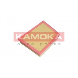 Légszűrő BMW 2 14-, X1 14- C22018