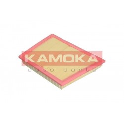 Légszűrő BMW 2 14-, X1 14- C22018