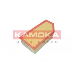 Légszűrő CITROEN C5 III 08-, C6 05-11 C36030