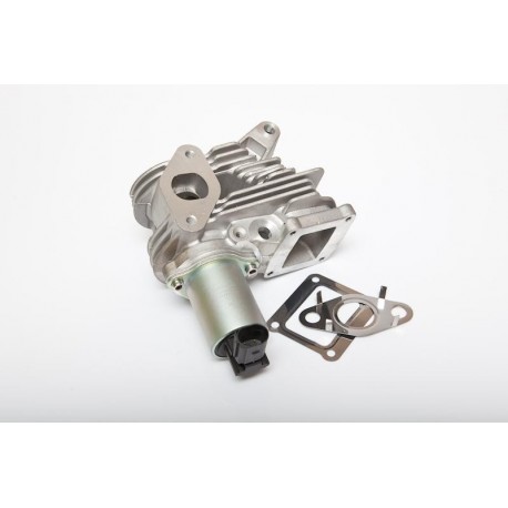 AGR-szelep RENAULT LAGUNA 1.9 DCI OE: 7701058850 7701058850