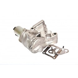 AGR-szelep RENAULT LAGUNA 1.9 DCI OE: 7701058850 7701058850